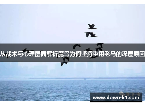 从战术与心理层面解析魔鸟为何坚持重用老马的深层原因