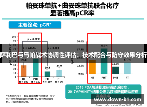 萨利巴与乌帕战术协调性评估：技术配合与防守效果分析